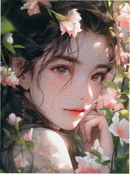 慢综艺观察